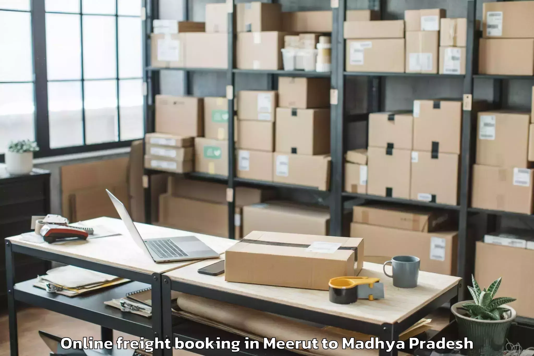 Trusted Meerut to Malhargarh Online Freight Booking